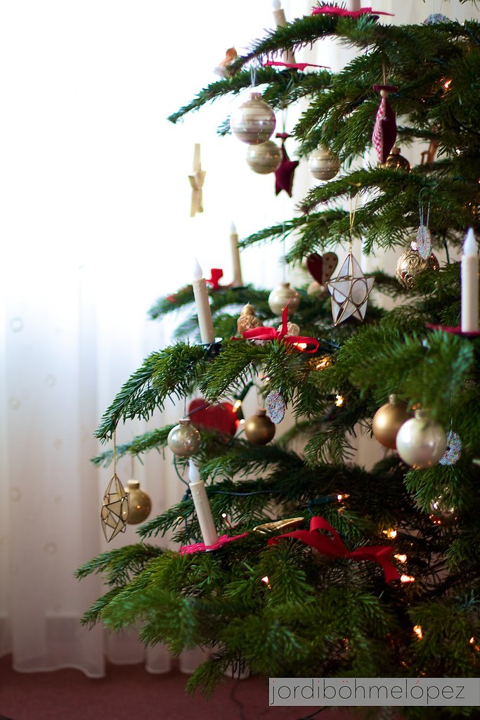 Weihnachtsbaum 2010